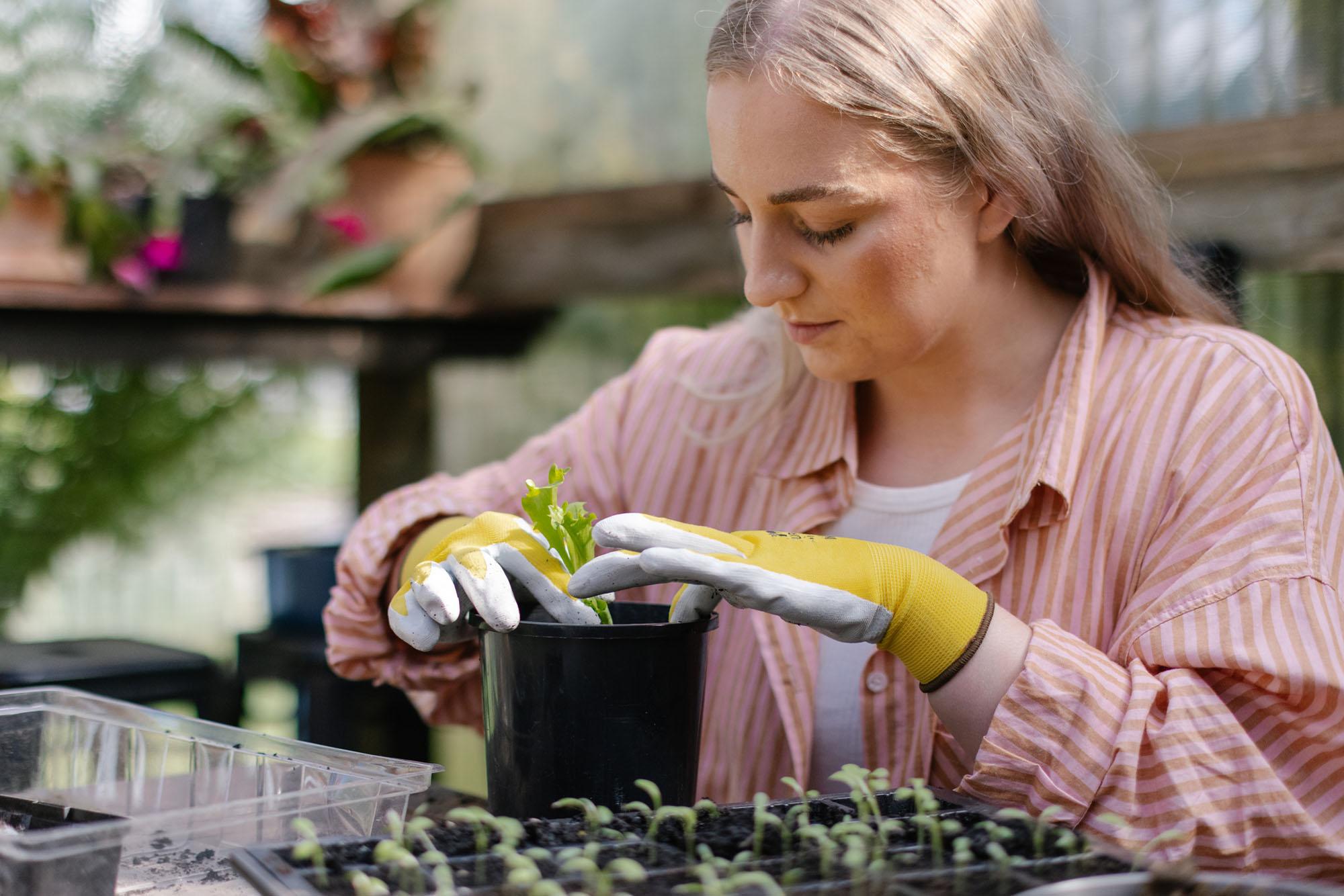 Spring Forward into Wellness: A Holistic Approach to Rejuvenation